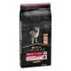 Purina Pro Plan Medium Puppy Peau Sensible Riche en Saumon (12 kg)