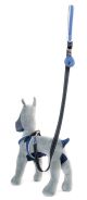 ZOE LAISSE LIGHT COMFORT BLEU