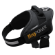 JULIUS-K9 POWERHARNESS BAVOIR GRIS 2 71-96CM-28