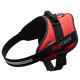 JULIUS-K9 POWERHARNESS BAVOIR ROUGE MINI 49-67CM